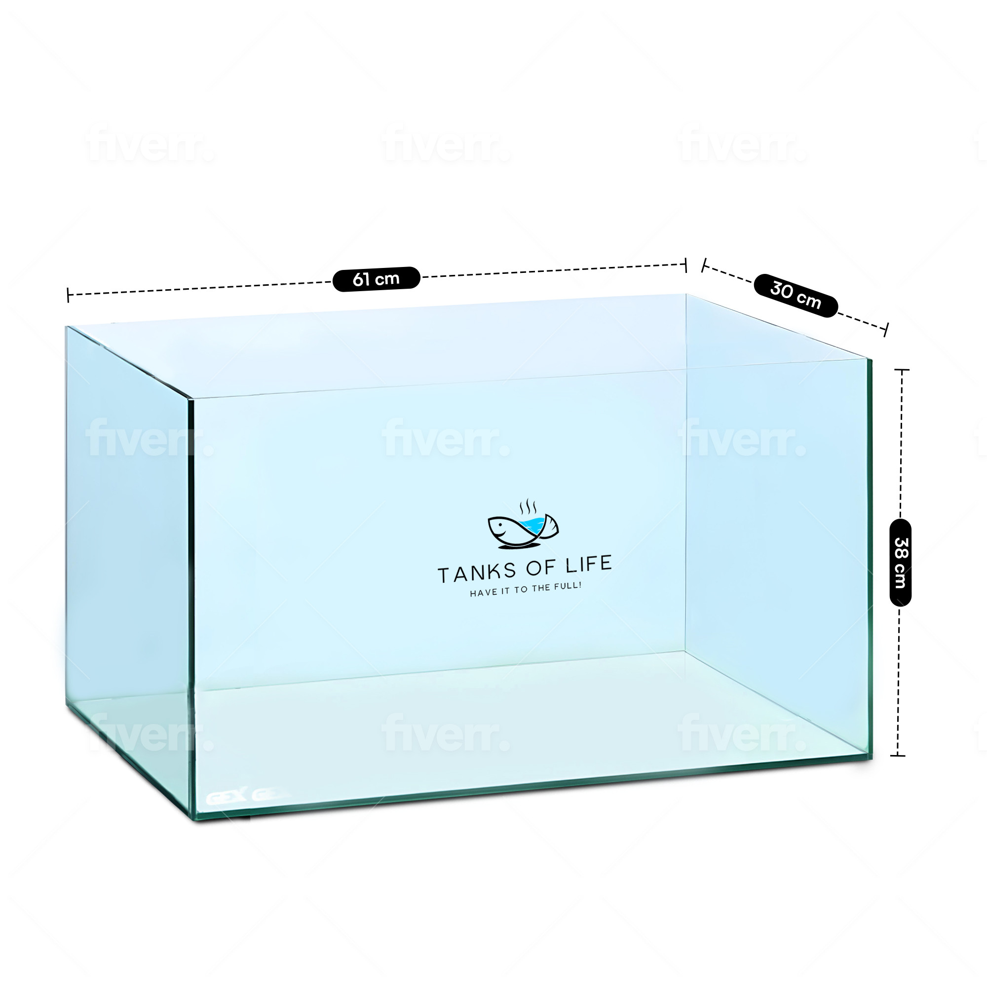 CLEAR GLASS TANK 2 FEET (61CM x 30CM x 38CM)