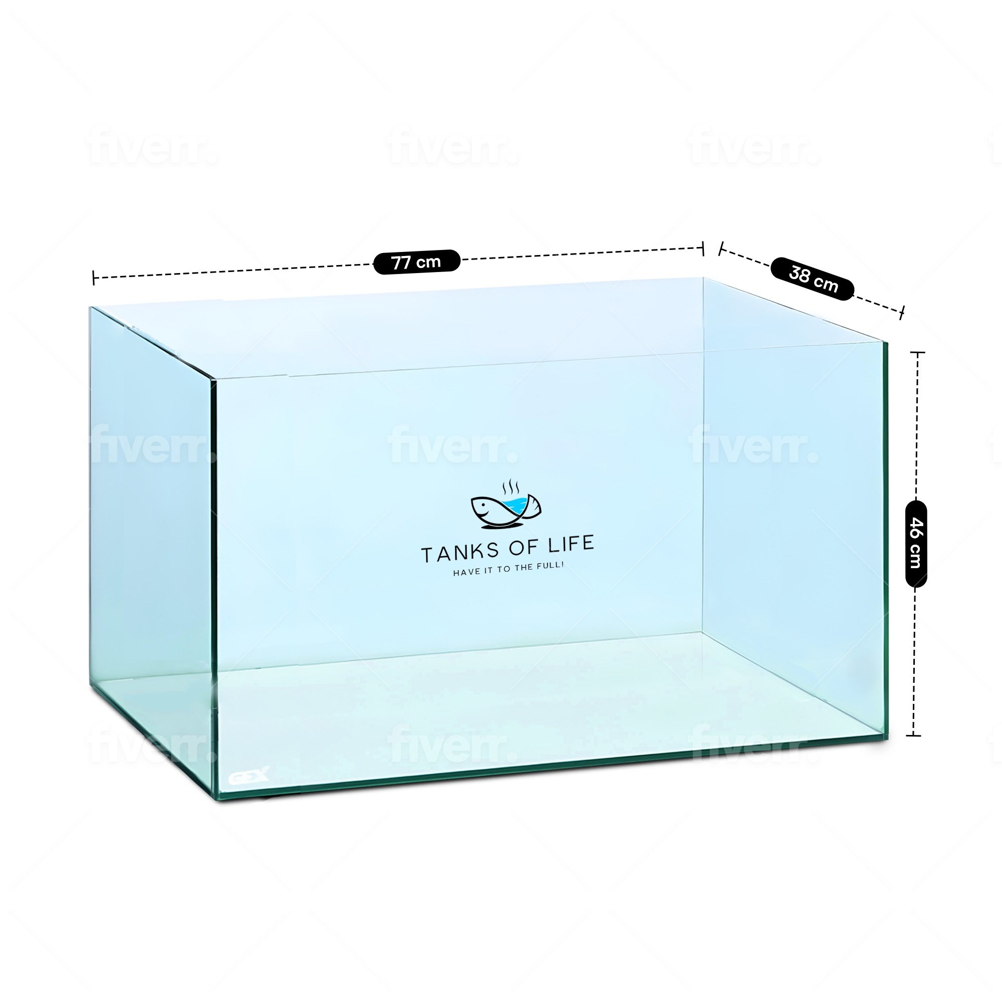 CLEAR GLASS TANK 2.5 FEET (77CM x 38CM x 46CM)