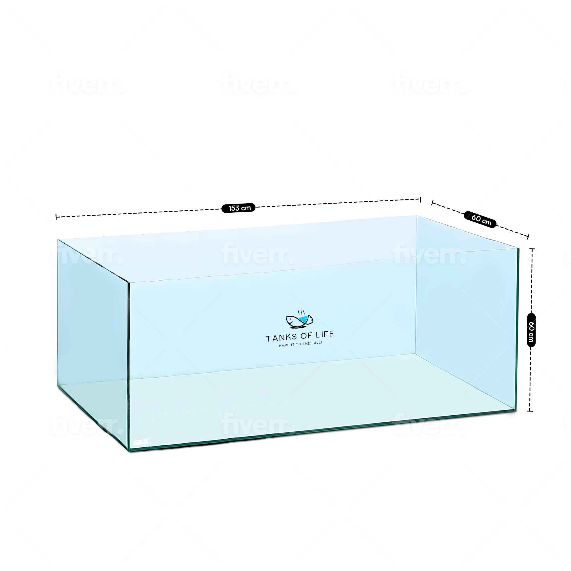 CLEAR GLASS TANK 5 FEET (153CM x 60CM x 60CM)